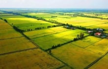 Các trường hợp được miễn thuế sử dụng đất nông nghiệp từ ngày 1/1/2026