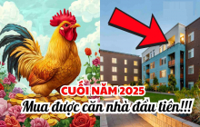 Cung Điền Trạch đã mở, 4 con giáp sở hữu căn nhà đầu tiên trong 3 tháng tới