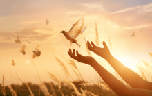 7 trường hợp không nên sát sinh theo lời Phật dạy