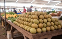 Loại quả Đồng Tháp từng bị lãng quên nay “lên đời” đặc sản Tết, giá tới 70.000 đồng/kg