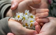 3 tuổi càng chăm sóc gia đình, đến trung niên càng vượng tài