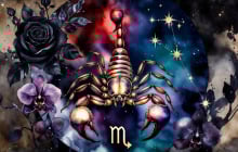 Tuần 16–22/2 bùng nổ tài lộc: 4 chòm sao được Thần Tài “chọn mặt gửi vàng”, vận tiền bạc tăng mạnh đầu năm