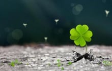 5 bí quyết để năm mới vui vẻ, may mắn và thành công