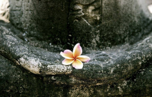 5 điều cần tâm niệm mỗi ngày để cuộc đời an nhiên tự tại