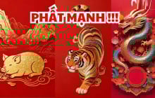 Cá Chép Vượt Vũ Môn: 3 con giáp khổ ải qua đi, Tiền tỷ tự đến