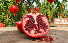 Loại quả tốt cho sức khỏe, trồng nhiều ở An Giang: Trái to đỏ rực, giá tới 150.000 đồng/kg vẫn hút khách