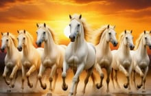 Sau ngày 8/3, vận đào hoa mở lối: 3 con giáp được quý nhân nâng đỡ, công việc bứt tốc