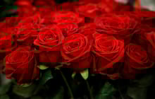 Trắc nghiệm tâm lý: Chọn một bó hoa để khám phá năng lượng nữ tính mạnh nhất trong bạn