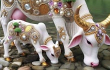 3 con giáp uy tín bậc nhất nên hậu vận bình yên, càng về già càng được nể trọng