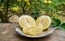 Loại quả đặc sản Vĩnh Long lọt top trái cây ngon nhất thế giới: Vị ngọt thanh, trồng một lần thu hoạch lâu dài