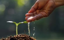 Có 4 quy luật mà cuộc sống mang lại phước lớn, ai làm được 1 điều thôi cũng đủ tốt rồi