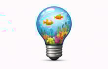 Quiz:  Cơ hội nào đang tới gần với bạn