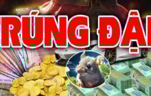 3 con giáp Trúng Đâm giàu to: 1 tuổi đỏ cả Tiền lẫn Tình song hỷ lâm môn