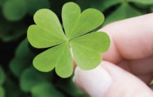 Ai có 1 trong 3 'mùi' này trên cơ thể là dấu hiệu của người có may mắn lớn, ăn sung mặc sướng