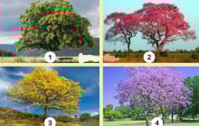 Trắc nghiệm vui: Bạn có thứ gì nhiều nhất trong tương lai?