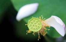 5 loại “Nhân quả” này, dù bạn là ai, giàu hay nghèo đến đâu đều không thể thoát khỏi