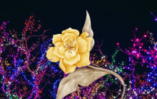  Từ mùng 6/4: 3 con giáp đón lộc tổ tiên, làm ăn hanh thông, tiền bạc dồn dập đổ về