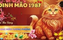 20 ngày tới Thần Tài đến muộn, 4 con giáp mở tiệc ăn mừng, tiền về như thác đổ