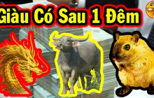 Từ đếm nay Thời Hoàng Kim Gõ Cửa: 3 con giáp Trúng Giải Đặc Biệt giàu nứt vách