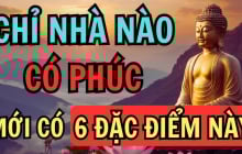 Nhà có điểm này càng ngày càng nhiều phúc khí