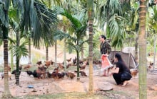 Bỏ công việc ổn định ở thành phố, nữ thủ khoa chọn sống giữa trang trại rộng hàng nghìn mét vuông