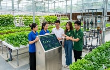5 ngành học đang “khát” nhân lực tại Việt Nam: Ra trường dễ có việc, thu nhập nhiều người mơ ước