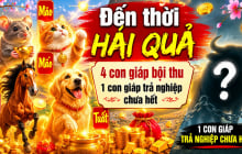 Dự báo 4 con giáp Đến Thời Hái Quả, 1 tuổi trả nghiệp chưa hết