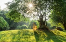 Không gian sống chữa lành: Xu hướng kiến trúc và du lịch xanh hiện đại