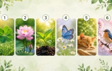 Quiz: Chọn 1 hình ảnh để khám phá: Trong mắt người khác, bạn có phải là người đáng tin tưởng?