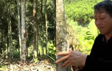 Từ vùng đất hoang sơ đến “thủ phủ tỷ phú quế”: Câu chuyện đổi đời của người Mông ở Mỏ Vàng