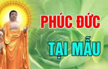 4 kiểu cha mẹ để lại phúc báo cho con
