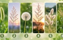 Quiz: Chọn 1 bông cỏ để xem chỉ số may mắn của bạn sắp tới cao hay thấp