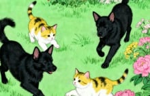 Nửa cuối tháng 6: 3 con giáp ra đường nên giữ bình tĩnh, tranh cãi nhỏ có thể kéo theo rắc rối lớn