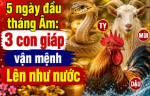 5 ngày đầu tháng Âm: 3 con giáp vận mệnh Lên như nước