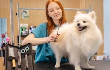 Câu chuyện phía sau thị trường chăm sóc thú cưng đang bùng nổ
