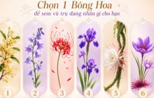 Chọn bông hoa yêu thích nhất để xem vũ trụ đang gửi tới bạn lời nhắn gì