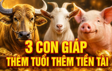 Tích phúc đức về già: 3 con giáp thêm tuổi thêm Tiền Tài