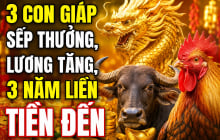 3 con giáp sếp thưởng, lương tăng, 3 năm liền Tiền đến