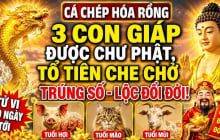 3 con giáp thoát nạn hóa Rồng, chư Phật độ cho từ 7/7 đến 13/7