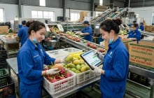 Ngành học được dự báo 'khát' nhân lực trong 10 năm tới: Ra trường dễ xin việc, nhiều doanh nghiệp săn đón