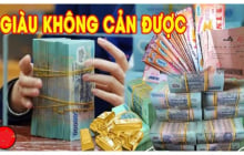 3 ngày cuối tuần từ Thứ Sáu tới Chủ Nhật: 3 con giáp Tiền Về Đếm Mỏi Tay