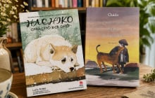 Chó trung thành: Chú chó vùng Flanders và Hachiko chú chó đợi chờ