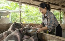 Phụ nữ tự chủ tài chính bằng việc tham gia BHXH, vay vốn kinh doanh