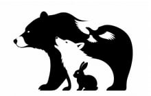 Trắc nghiệm: Bạn nhìn thấy con vật gì trước tiên?