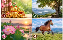 Trắc nghiệm: Chọn 1 bức ảnh bạn ấn tượng nhất để biết tài vận tháng 8 âm lịch sẽ ra sao