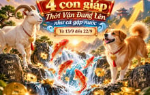 4 con giáp Thời Vận Đang Lên như cá gặp nước từ 13/9 đến 22/9