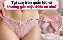 Tại sao trên quần lót nữ thường gắn một chiếc nơ nhỏ?