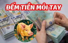 7 ngày tới: 3 con giáp may mắn Trúng Số liên tiếp đếm tiền mỏi tay