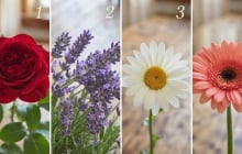 Chọn 1 bông hoa bạn yêu thích nhất