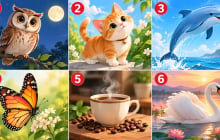 Bạn chú ý vào hình ảnh nào nhất?